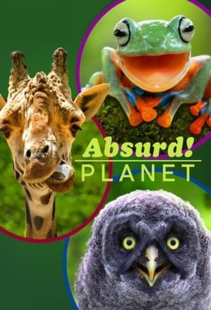 donde ver absurd planet