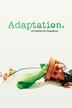 donde ver adaptation