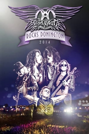 donde ver aerosmith - rocks donington