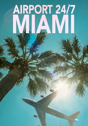 donde ver airport 24/7: miami