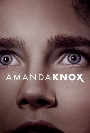 donde ver amanda knox