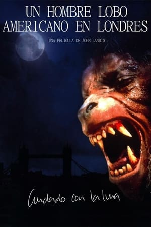 donde ver an american werewolf in london