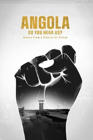 donde ver angola: ¿nos escuchan? voces tras las rejas