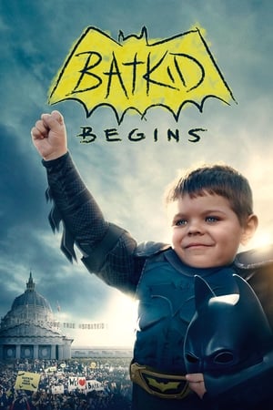 donde ver batkid begins