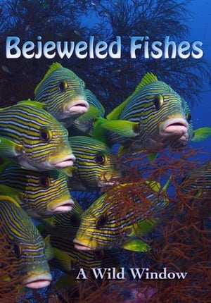 donde ver bejeweled fishes