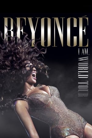 donde ver beyoncé - i am...world tour