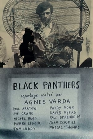 donde ver black panthers