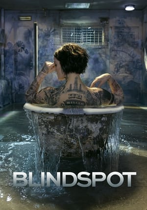 donde ver blindspot