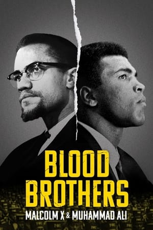 donde ver blood brothers: malcolm x & muhammad ali
