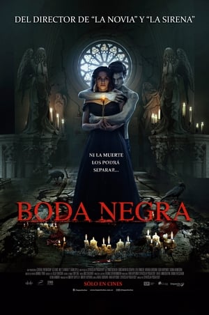 donde ver boda negra