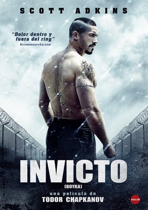 donde ver boyka: invicto 4