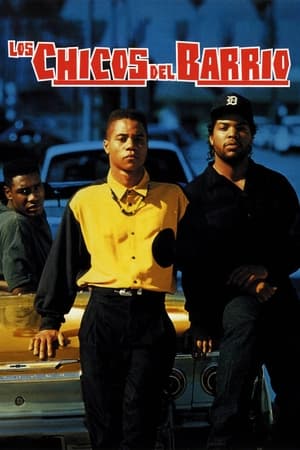 donde ver boyz n the hood