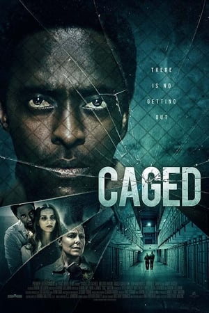 donde ver caged