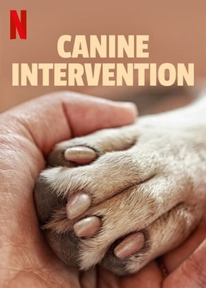 donde ver canine intervention