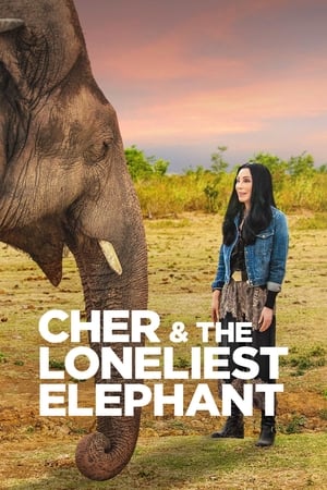 donde ver cher & the loneliest elephant
