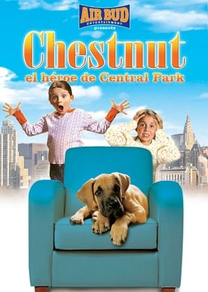 donde ver chestnut: hero of central park