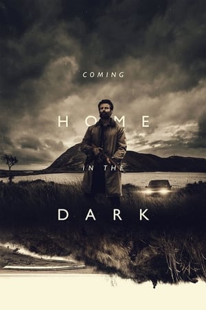 donde ver coming home in the dark