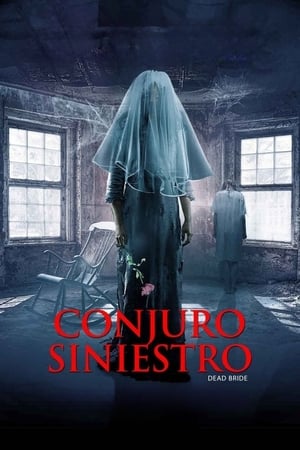 donde ver conjuro siniestro