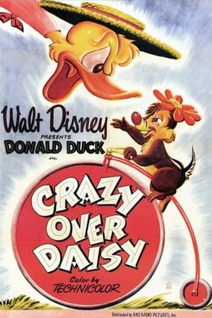 donde ver crazy over daisy