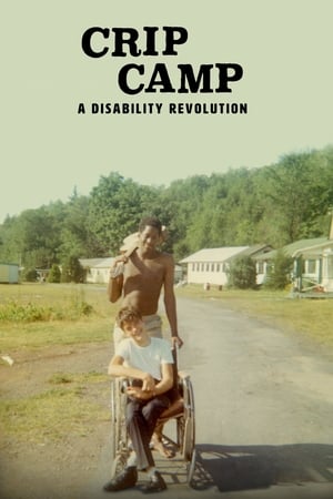 donde ver crip camp: a disability revolution