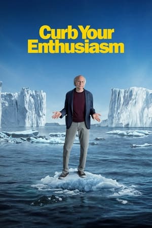 donde ver curb your enthusiasm
