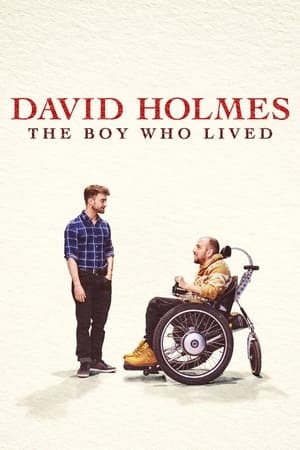 donde ver david holmes: the boy who lived