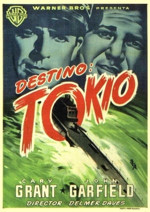 donde ver destination tokyo (1943)