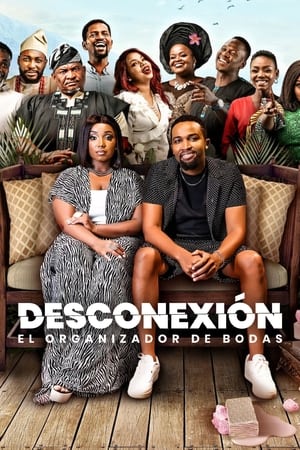 donde ver disconnect: the wedding planner