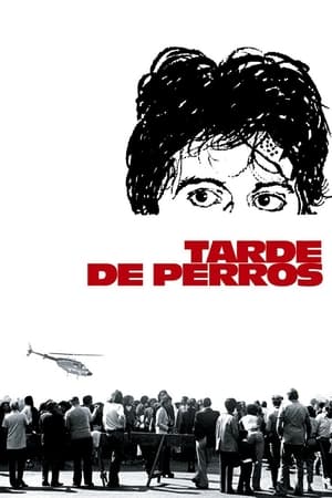 donde ver dog day afternoon
