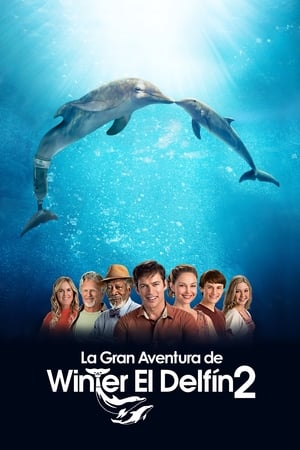 donde ver dolphin tale 2