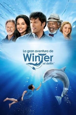 donde ver dolphin tale