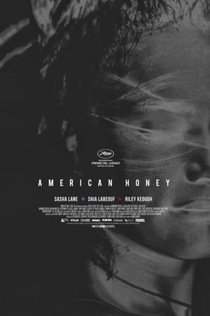 donde ver american honey