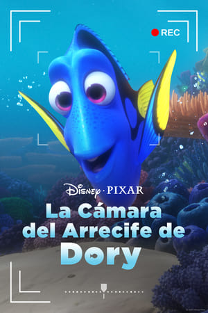 donde ver el arrecife de dory