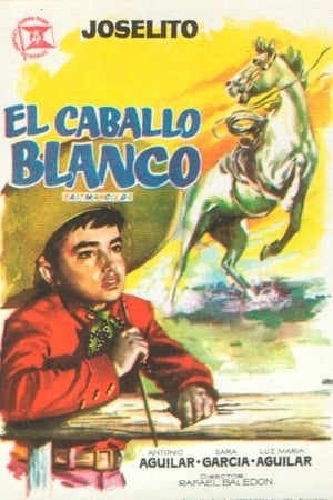 donde ver el caballo blanco