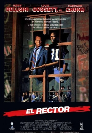 donde ver el director