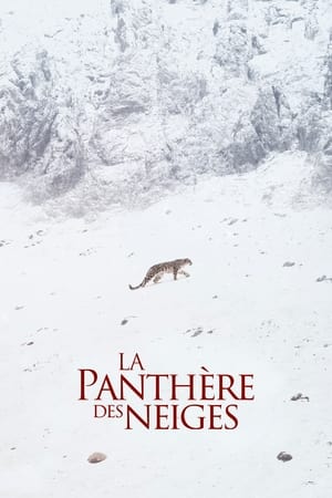 donde ver el leopardo de las nieves