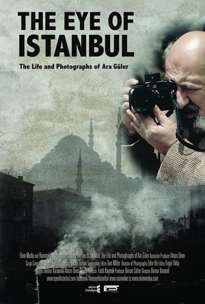 donde ver el ojo de estambul (the eye of istanbul)