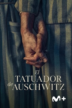 donde ver el tatuador de auschwitz