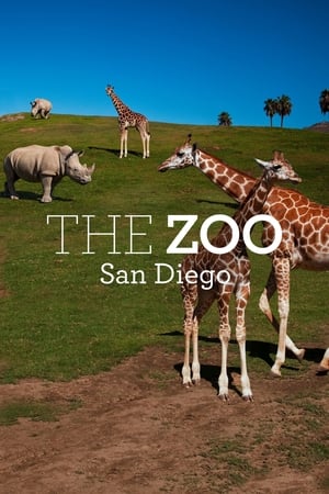 donde ver the zoo: san diego