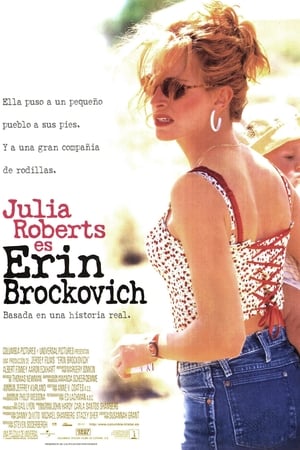 donde ver erin brockovich