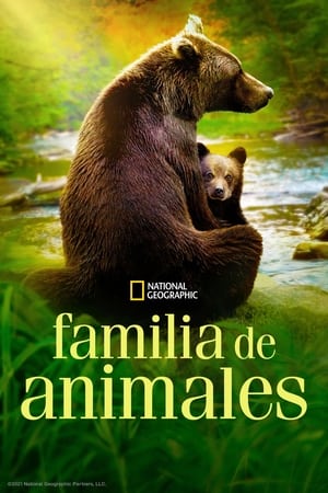 donde ver familia de animales