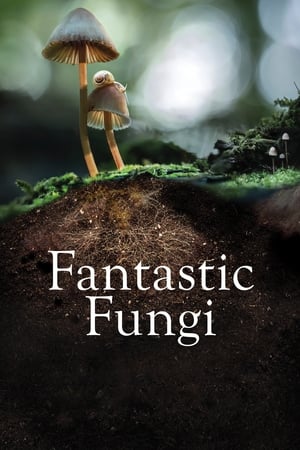 donde ver fantastic fungi