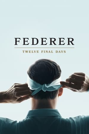 donde ver federer: twelve final days