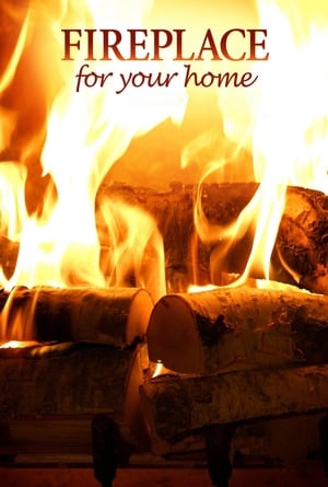 donde ver fireplace 4k: crackling birchwood from fireplace for your home