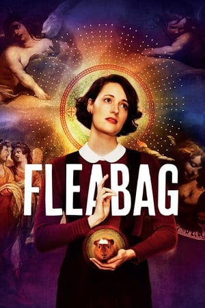 donde ver fleabag