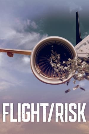 donde ver flight / risk