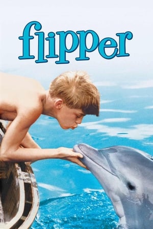 donde ver flipper (1963)