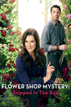 donde ver flower shop mystery: snipped in the bud