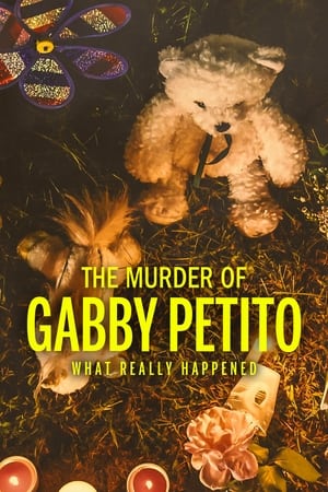 donde ver the murder of gabby petito: what really happened