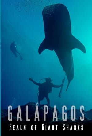 donde ver galápagos: el reino de tiburones gigantes